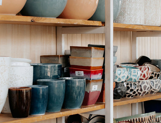 Choosing the Ideal Pots for Succulents