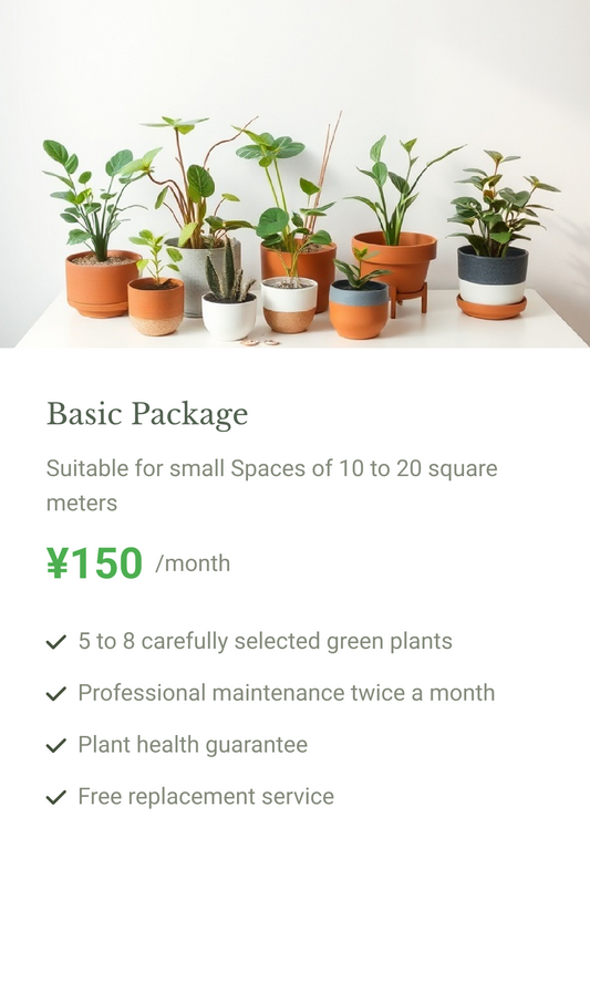Basic Package