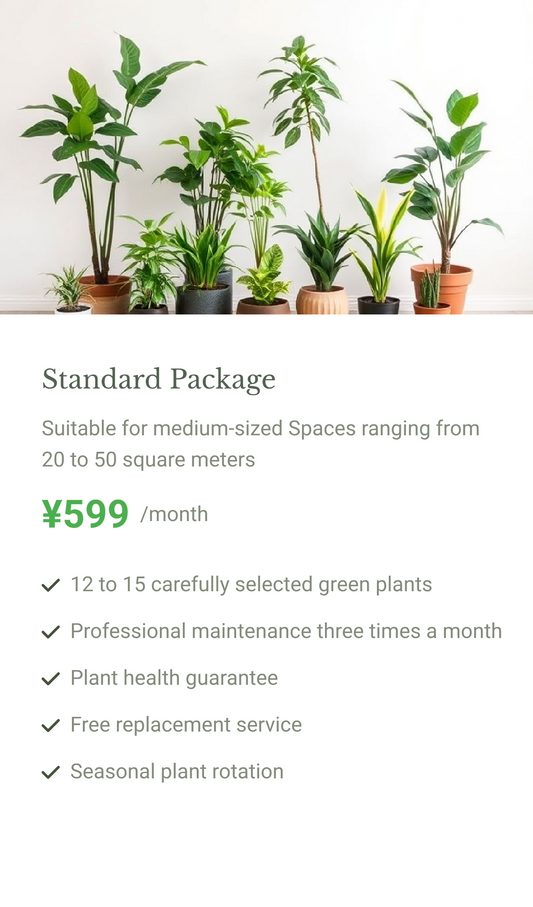 Standard Package