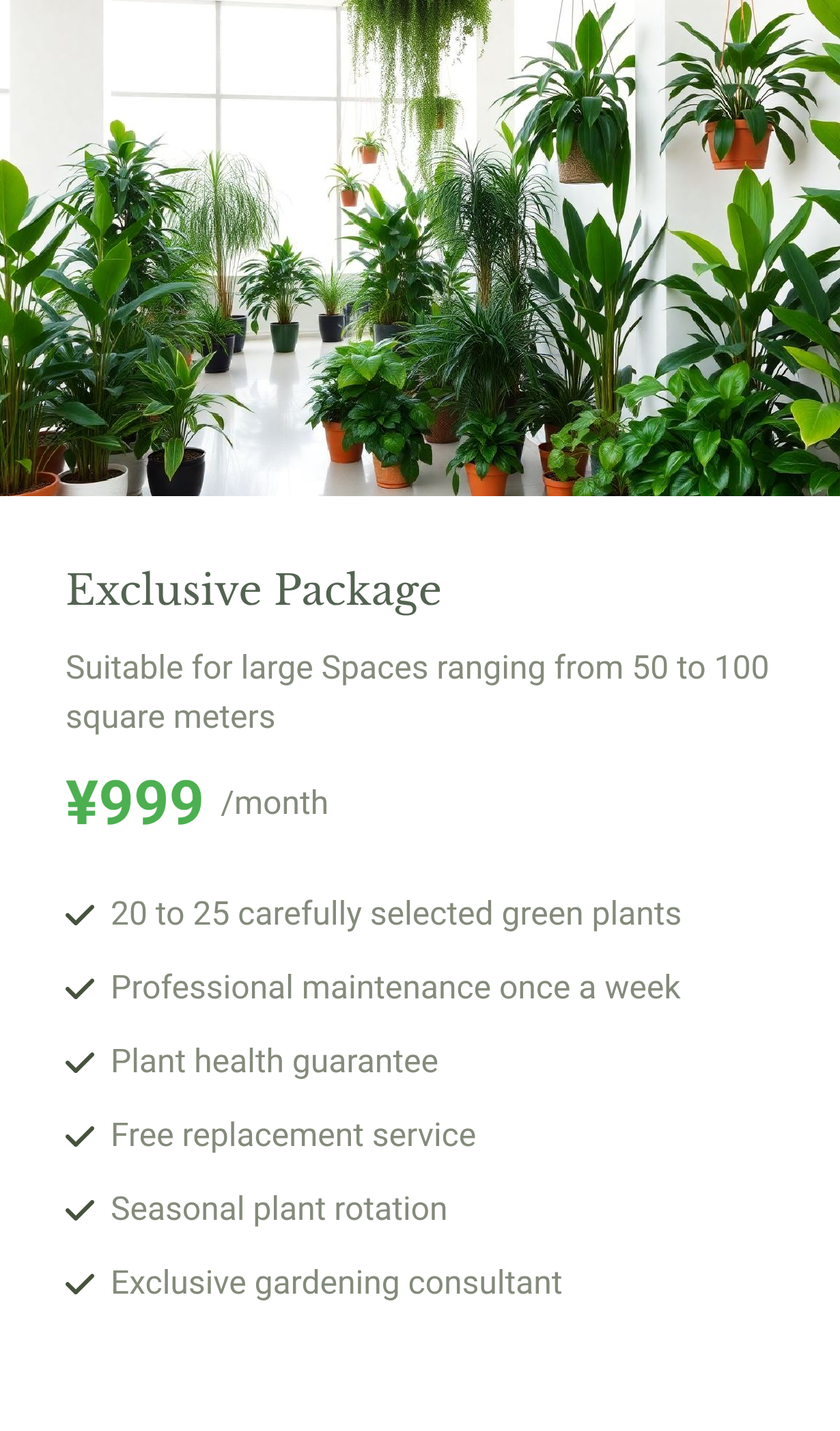 Exclusive Package